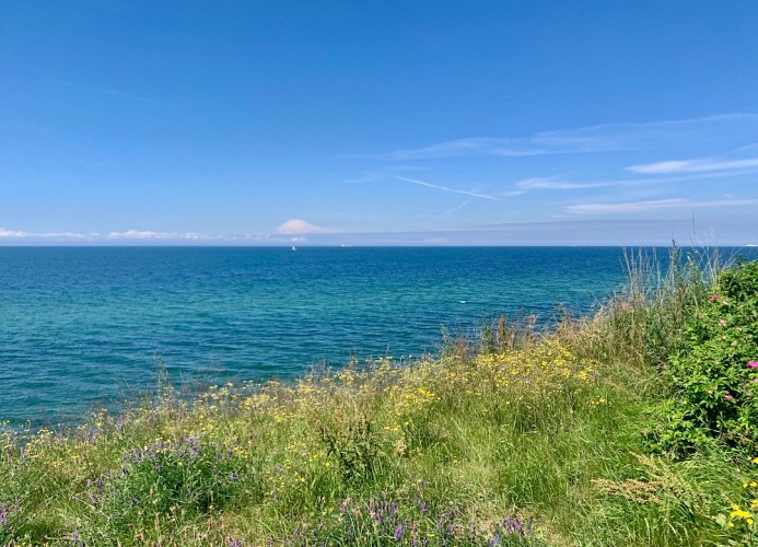 Blick von der Steilküste
